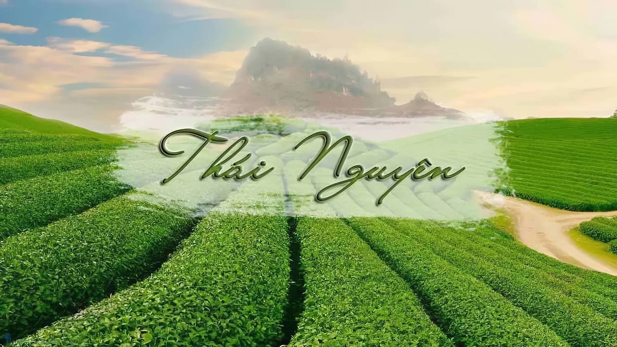 Giải Chạy Việt dã tiền phong - Chạy tập thể tỉnh Thái Nguyên năm 2026